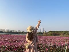 -海珠湖公园