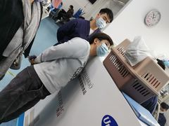 -北京赛佳动物医院