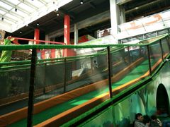 -蒙特利亲子乐园