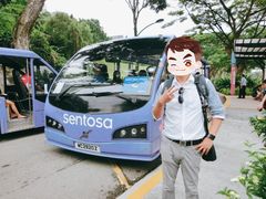 -巴拉湾海滩