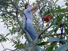 -塘栖枇杷特色园区