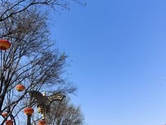 -老兰家传统烧烤炒菜泡馍(小南门店)