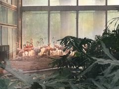 -北京动物园