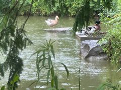 -天目湖涵田半山温泉