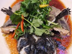 -荣誉海鲜酒楼(海湾店)
