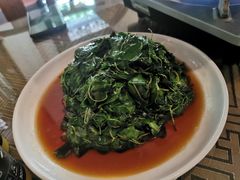 清炒四叶草-湖鲜楼