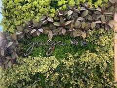 -gaga(深圳南山益田假日广场店)