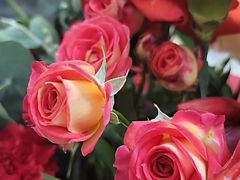 -勒甜LO CHO·私人订制低糖代糖纯动物奶油生日蛋糕(新开路店)