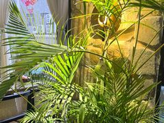 -陈熹公民族美食文化餐厅(中华广场店)