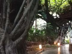 -龙达温泉生态城