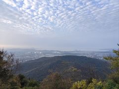 -惠山国家森林公园
