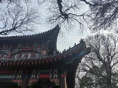 -灵谷景区