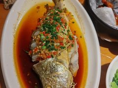 -大鸽饭(马王堆店)