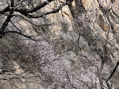 -北京凤凰岭