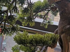 -马家斑.鲜鱼火锅(松湖万科店)