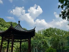 -董寨国家级自然保护区白云保护站
