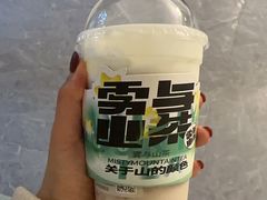 -雾与山茶(大禹城店)