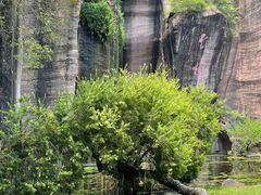 -广州莲花山旅游区