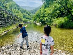 -牛背梁国家森林公园