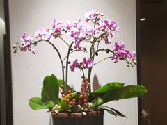 -花锦堂·隐庐