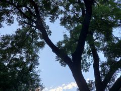 -北京国子监胡同