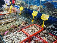 -船奇蒸汽海鲜·闽菜(八市海鲜总店)