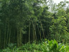 -福建鲤鱼洲酒店