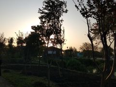 -瑶湖郊野森林公园