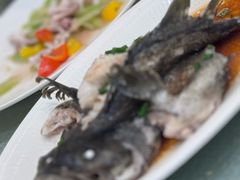 -舌尖上·霞浦滩涂海鲜·新闽菜(总店)