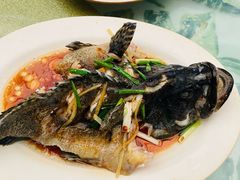 -四姑娘川味海鲜(八爪鱼店)