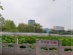 -莲花池公园