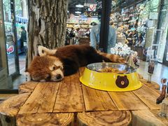 -北京野生动物园