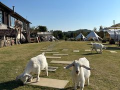 -天目湖涵田度假村
