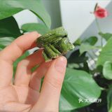 雪花酥自由——来自我最🐂[啤酒]的朋友