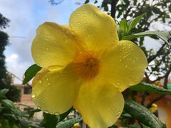 -小潘蛋糕坊 板桥和平店