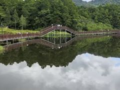 -海南热带雨林国家公园吊罗山景区