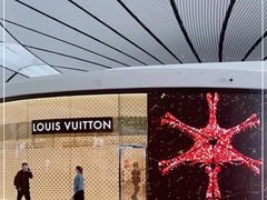 -LV路易威登(大兴国际机场店)