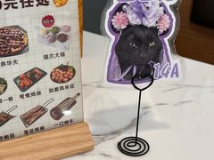 -喵园·猫主题咖啡厅·撸猫·猫咖(国贸店)