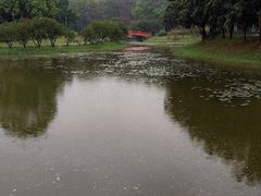 -东莞植物园