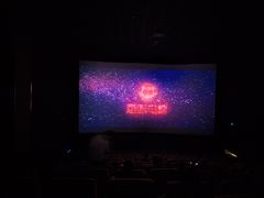 -武汉华夏国际影城(鲁广店)