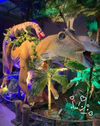 -恐龙探索乐园(磁器口店)