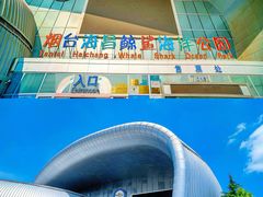 -烟台海昌鲸鲨海洋公园
