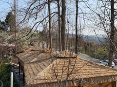 -桃源山庄·水蜜桃采摘·柴火鸡·烧烤团建(龙泉山店)