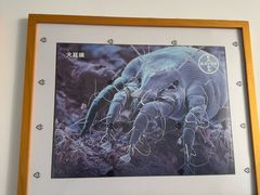 -瑞派福兴宠物医院犬猫全科·骨科·中西医结合(河东店)