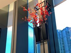 -花城苑广府菜(侨鑫店)