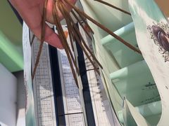 -好一朵茉莉花(老门东店)