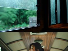 -合肥滨湖国家森林公园