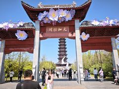 -江苏三台山国家森林公园