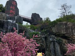 -清境桃源