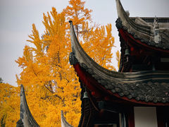 -成都市文殊院